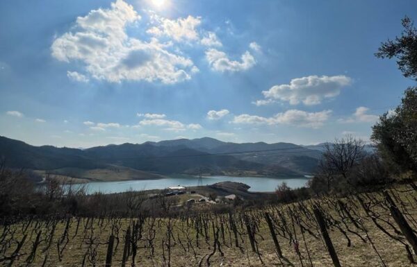 WhatsApp Image 2025-11-07 at 12.43.07_96f09673