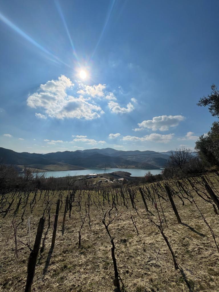 WhatsApp Image 2025-11-07 at 12.43.07_96f09673