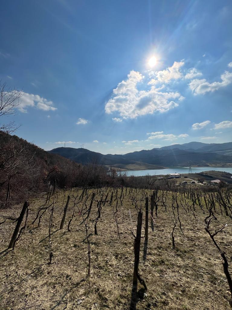 WhatsApp Image 2025-11-07 at 12.43.07_9ba5e428